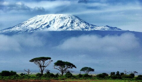 a photo of snow capped mount kilimanjaro, with fog and trees in the foreground.