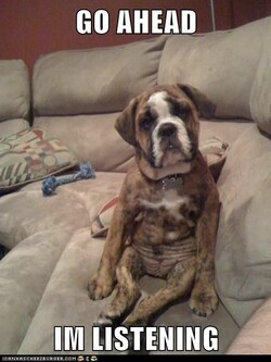 a dog sits with its legs all forward, head cocked, very alert. Caption reads "Go ahead, I'm listening."
